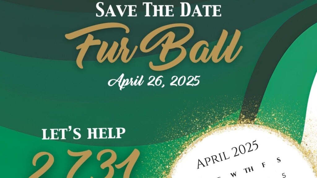 Hill’s Pet Nutrition Fur Ball 2025 date released – WNKY News 40 Television