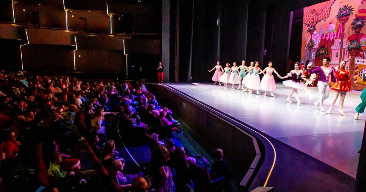 ‘Nutcracker’ scene: Local professional dancers share ballet with schoolchildren