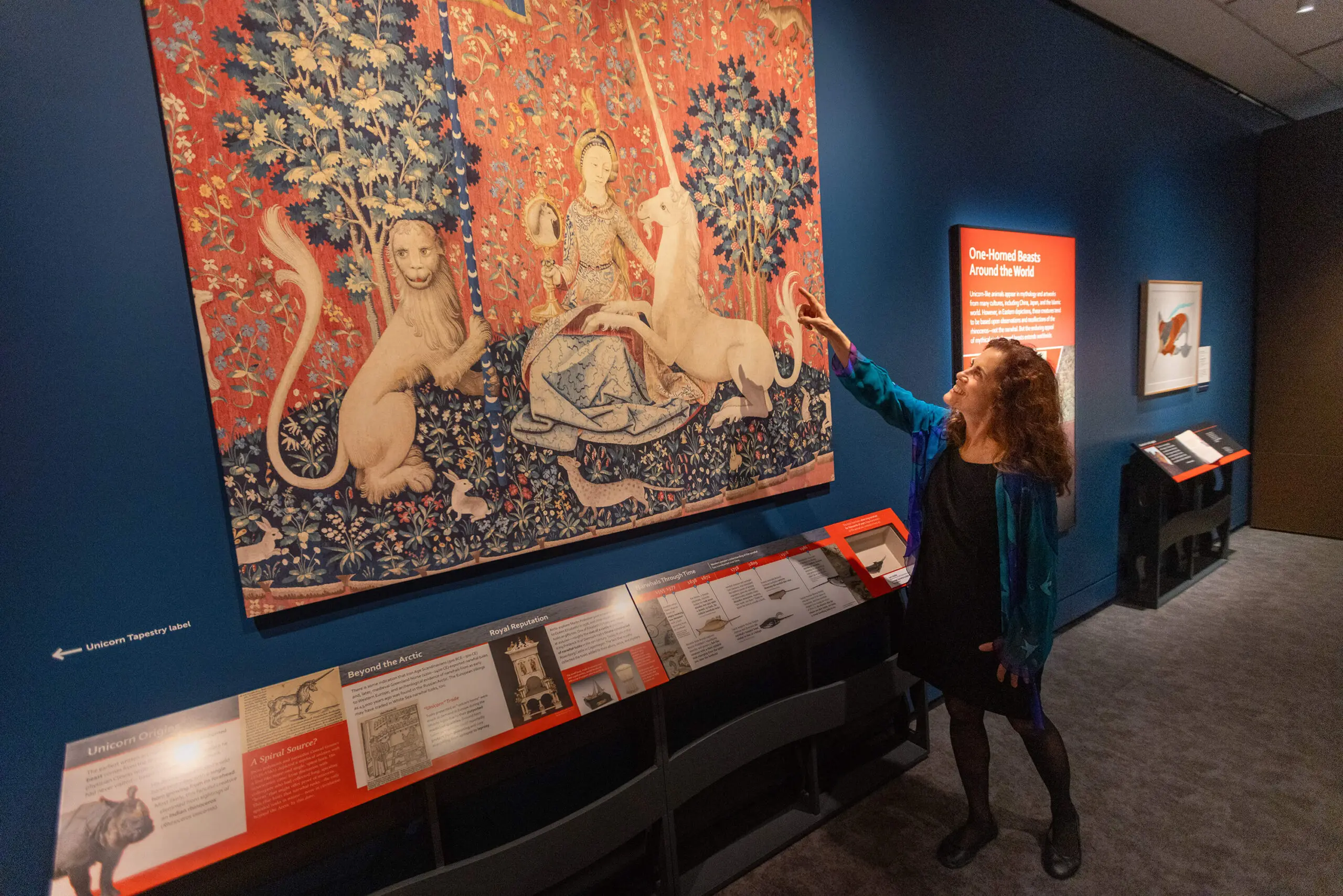 Jane Winchell, curator of natural history at the Peabody Essex Museum, points at the unicorn in a poster reproduction of a one of the French tapestries in the series entitled “The Lady and the Unicorn,” created around 1500. Evidence suggests the narwhal and its spiral tusk may have inspired unicorn imagery. (Jesse Costa/WBUR)