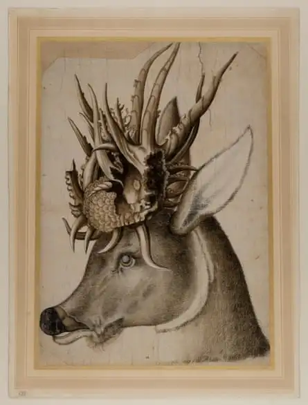 Monstrously Horned Head of a Stag (after Hans Hoffmann), c.1580-90.