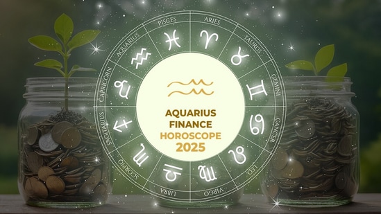 Aquarius Career Horoscope for 2025 predicts financial management