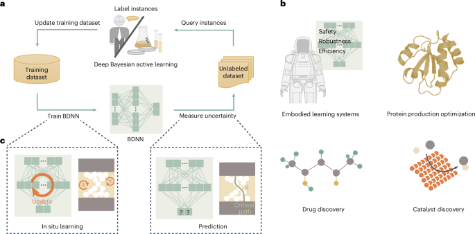 Deep Bayesian active learning using in-memory computing hardware