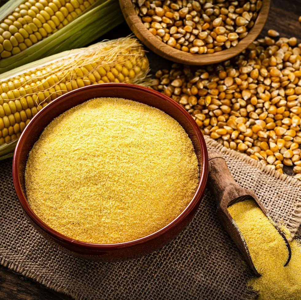 raw corn grits, dried corn and corncobs on rustic table