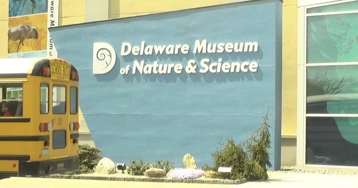 Delaware Museum of Nature and Science takes visitors “STOMPing into the New Year.”