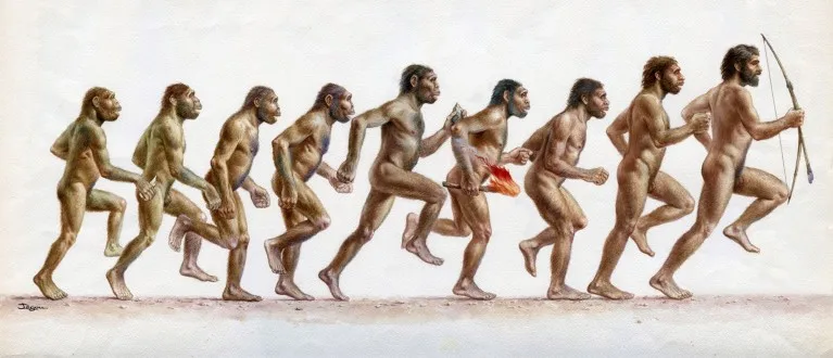 Illustration of human ancestors at different stages of evolution running with Australopithecus afarensis on the far left and homo sapien on the far right