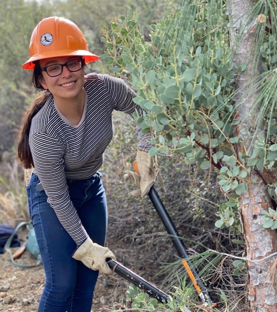 Santa Barbara Foundation Announces Nonprofit Recipients of Conservation, Environment and Public Trails Grants