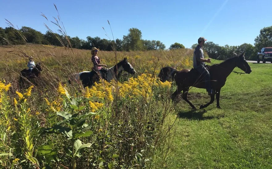 Three people on horseback emerge from a meadow alongside a road.