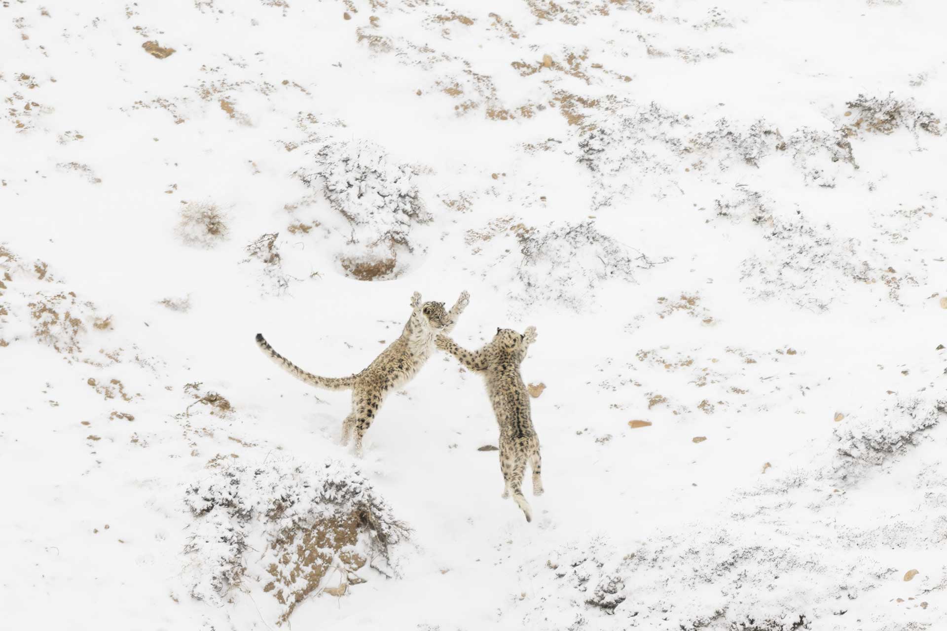 15 marvelous Nature Photographer of the Year 2024 images