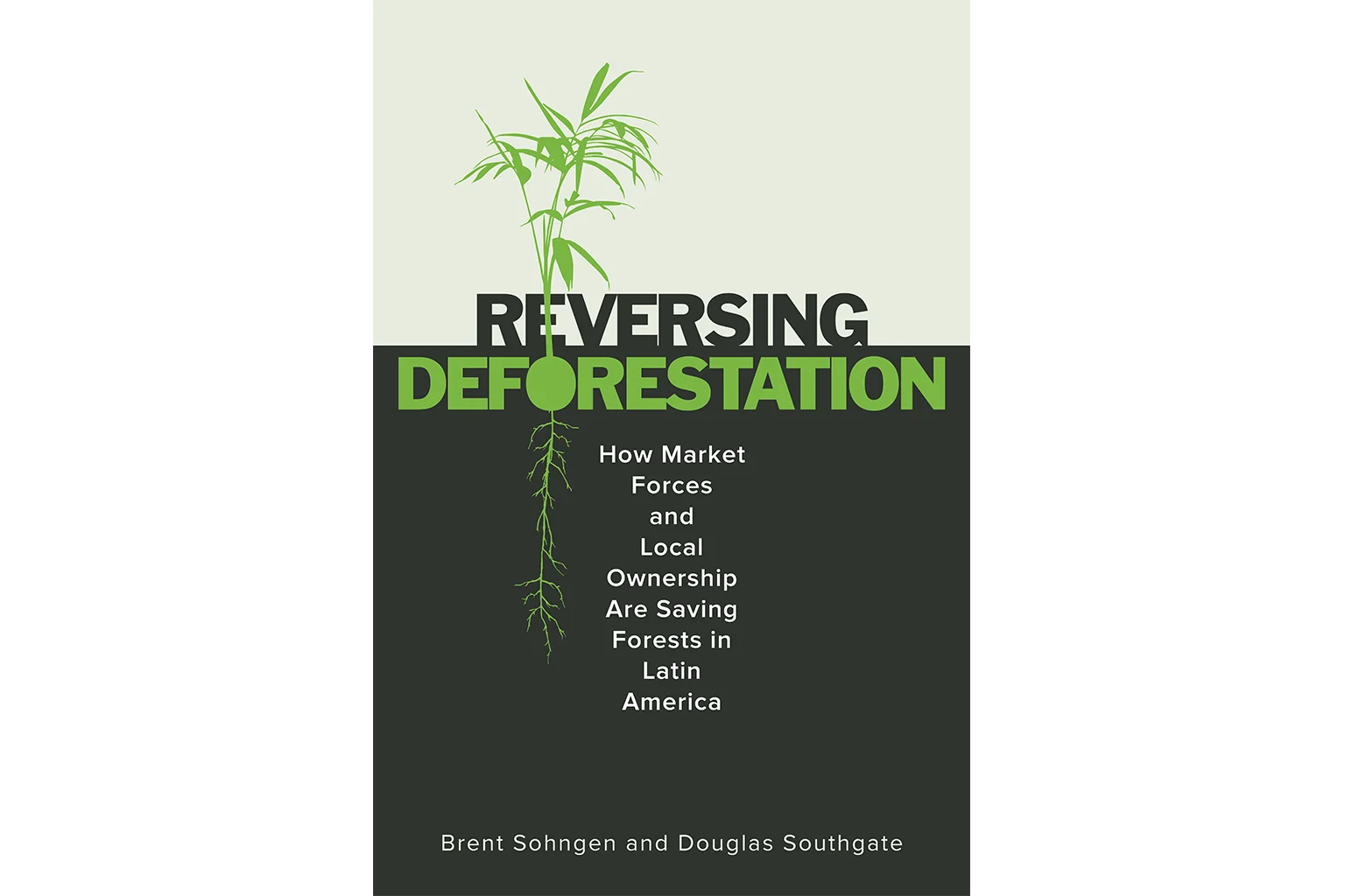 Reversing Deforestation: How Market Forces and Local Ownership Are Saving Forests in Latin America