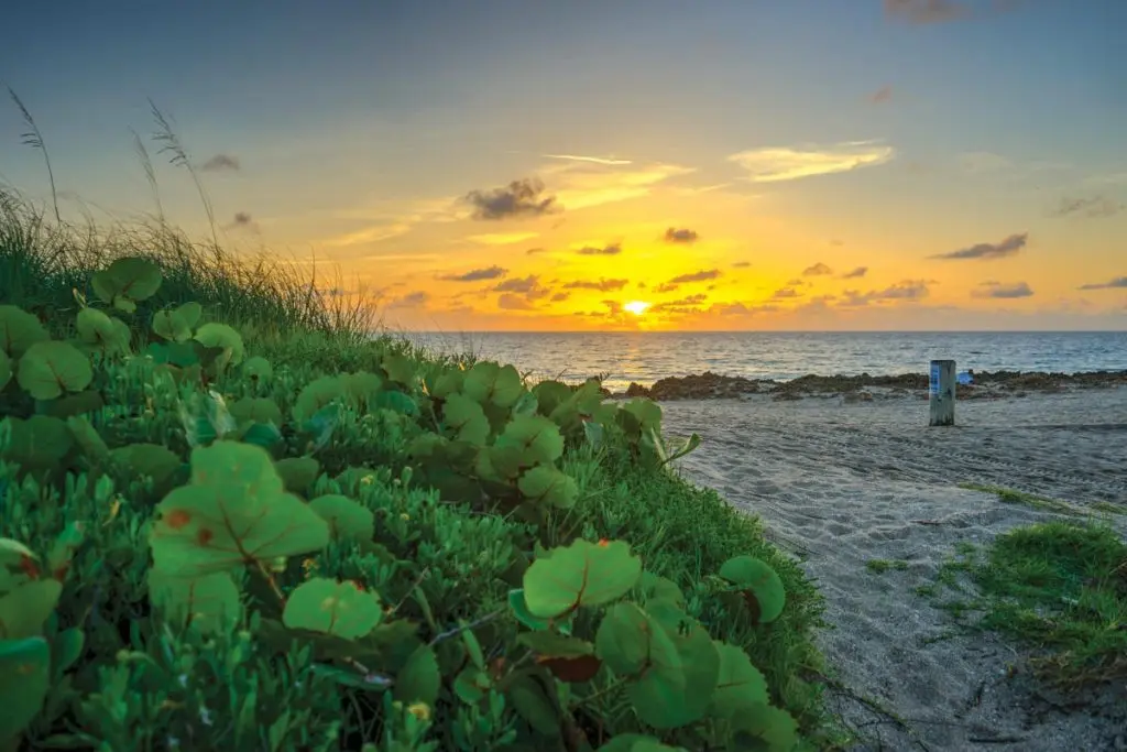 Sunrise Bathtub Beach in Stuart. Photo courtesy of Martin County Office of Tourism and Marketing