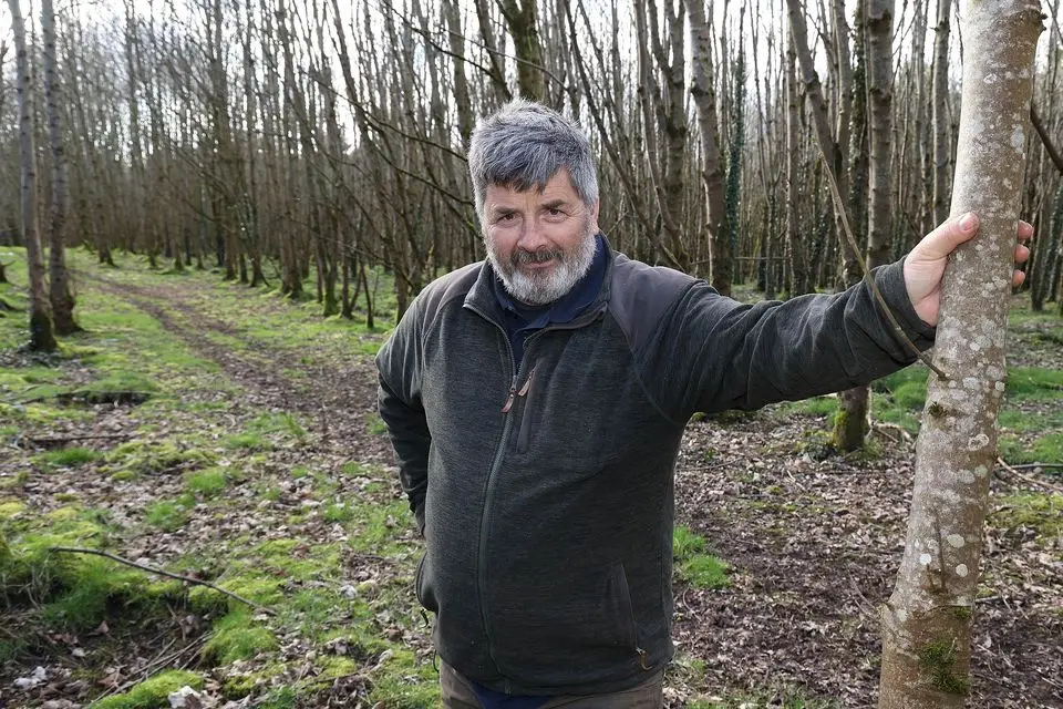 Tom Tierney in his 40ac forest on his farm in Ballinafagh, Prosperous, Co Kildare. Photo: Damien Eagers