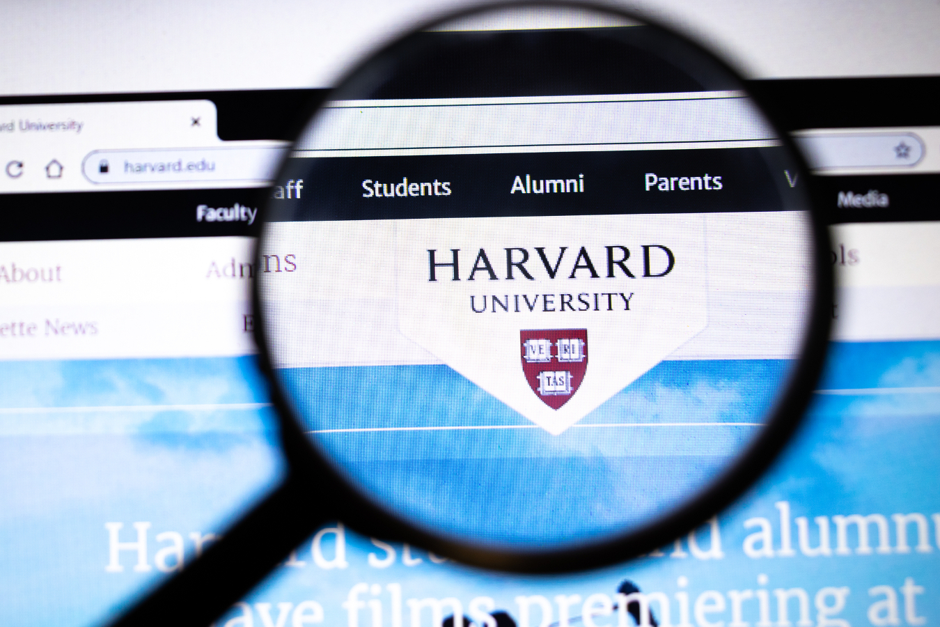 Harvard tem 10 cursos gratuitos de tecnologia para fazer do sofá