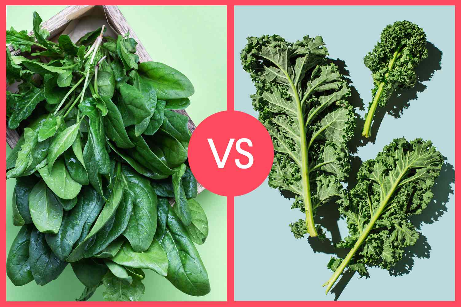 Which Is Healthier, Kale or Spinach? Nutrition Experts Settle the Debate