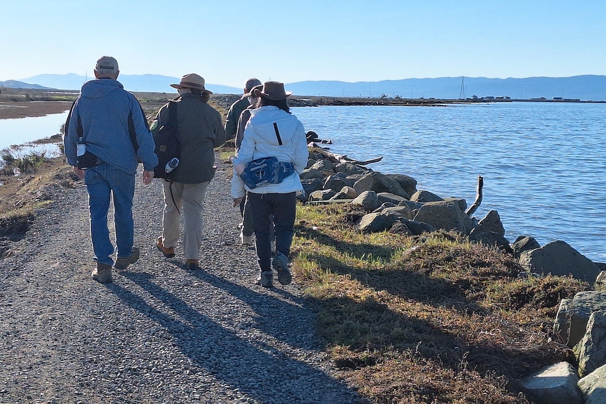 Shoreline tides walk combines science and nature