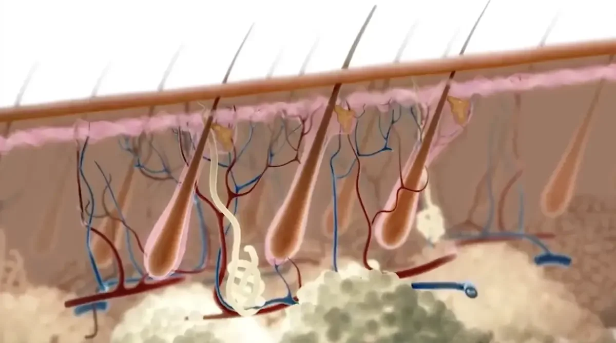 MEDEZE ยกระดับ Stem Cells  ดูแลรักษาโรค สร้างชีวิตยืนยาว