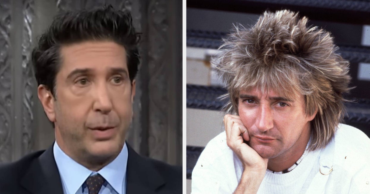 David Schwimmer Just Revealed That He Once Served Music Icon Sir Rod Stewart With Divorce Papers, And The Ross Geller Jokes Write Themselves