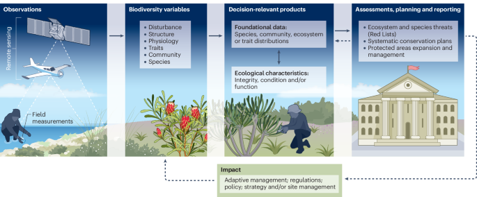 BioSCape combines local knowledge and remote-sensing technology for inclusive biodiversity science