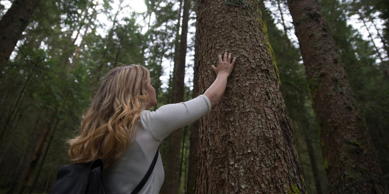 Nature’s beauty inspires cooperation: Study reveals the power of aesthetics in environmental conservation