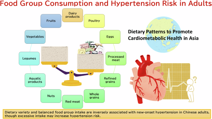 Dietary diversity and its association with hypertension risk: insights from the China health and nutrition survey