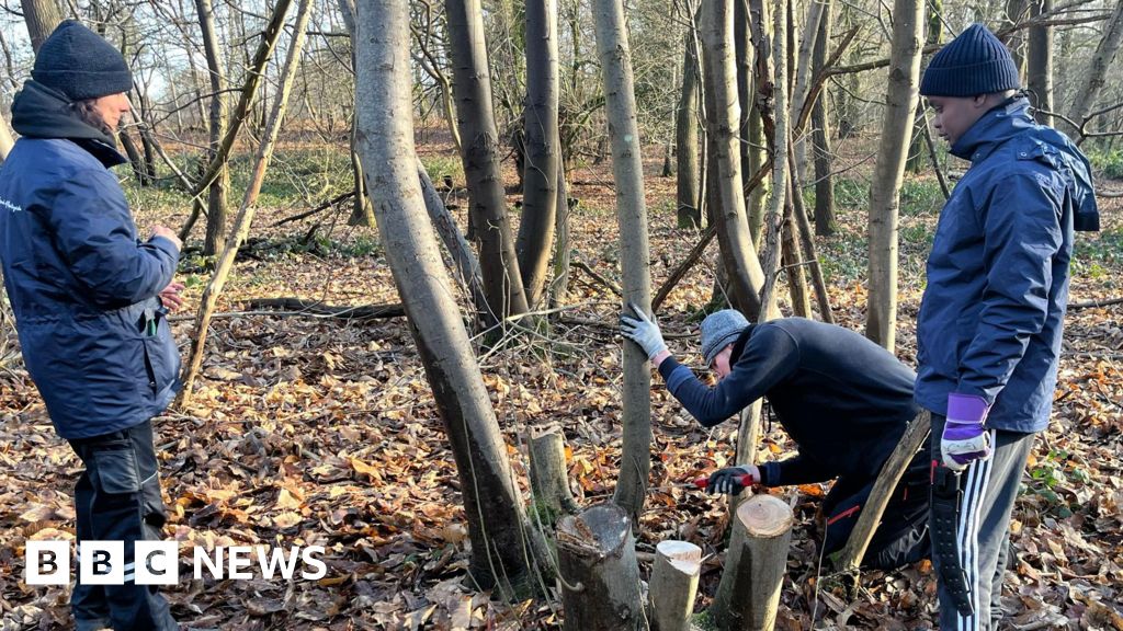 Conservation volunteering at Frensham farm inspires young people