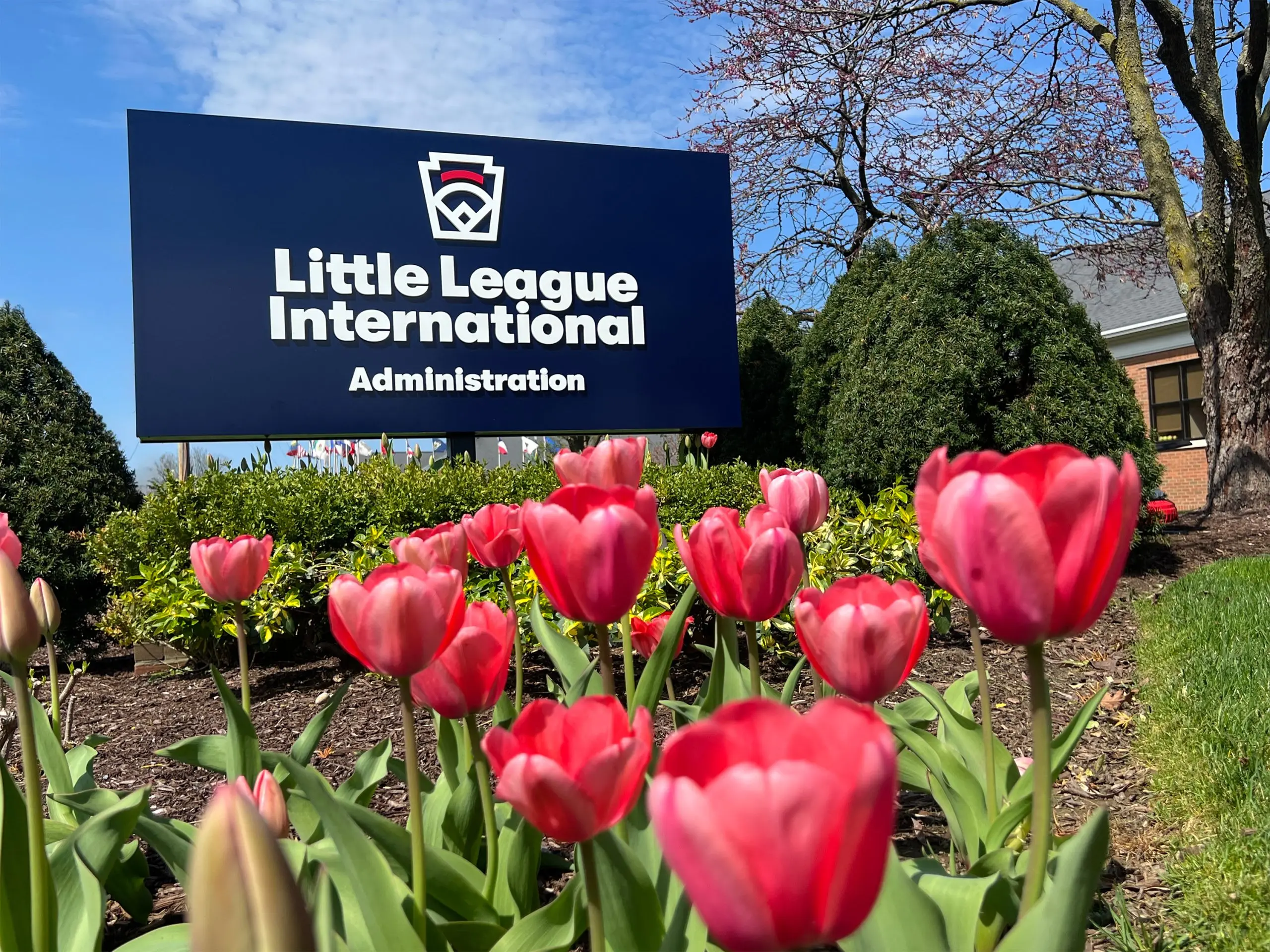 Little League Headquarters Administration Sign