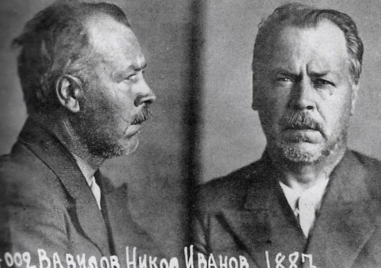 Official photo from the file of the investigation of the prisoner Nikolai Vavilov. Side and front portraits.