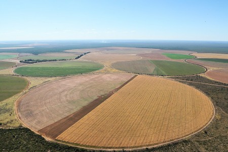 Opinião – Tecnologia, pessoas e sustentabilidade: os caminhos para o agronegócio brasileiro em 2025