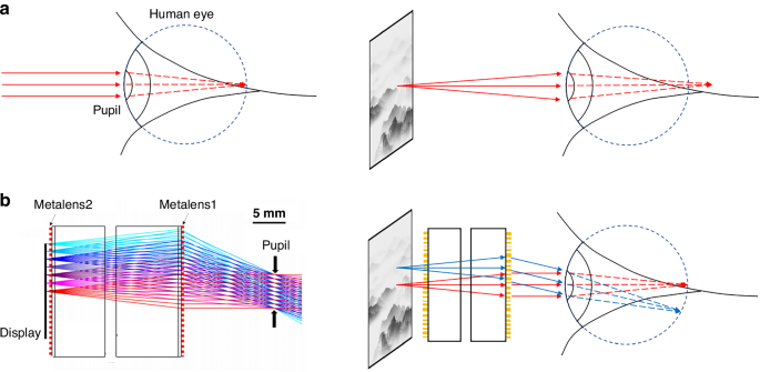 Cascaded metalenses boost applications in near-eye display