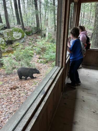 Squam Lakes Natural Science Center