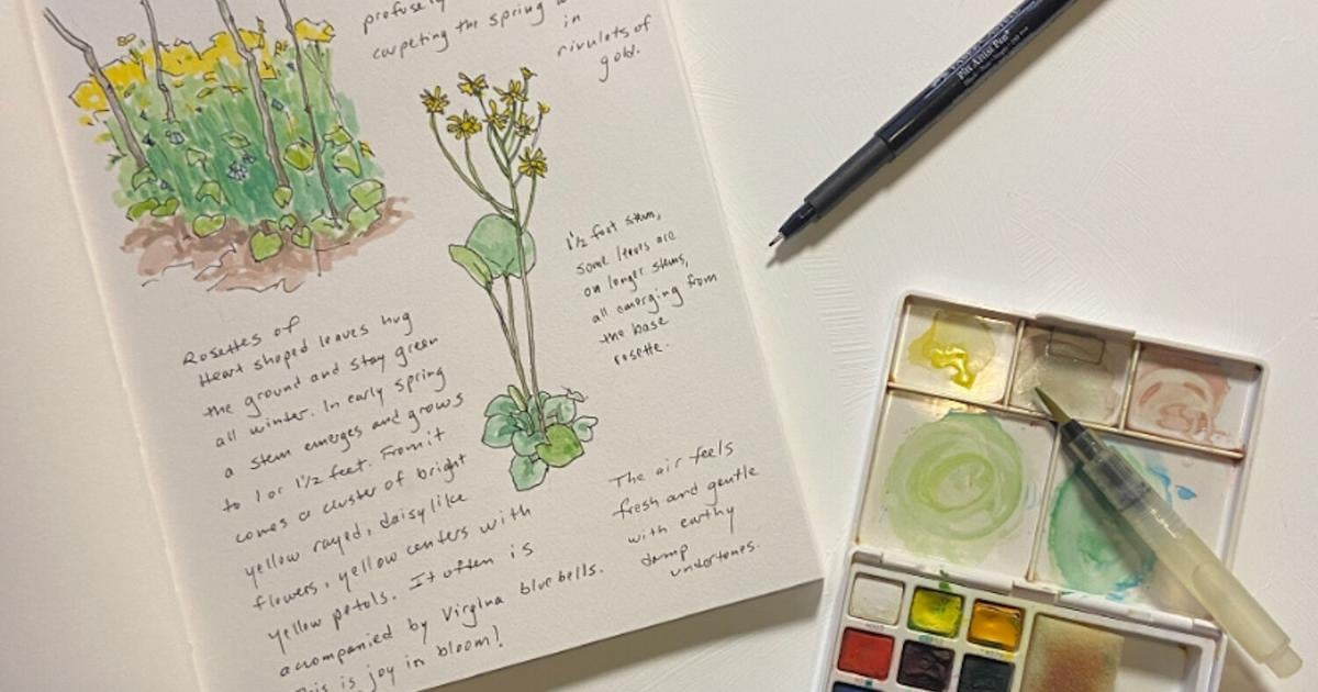 Botanical art and nature journaling take center stage at talk