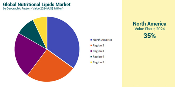 Nutritional Lipids Market Global Market Outlook to 2030: Role of Nutritional Lipids in Improving Mental Health Providing Further Scope for Growth –  A Projected US$24 Billion Market by 2030