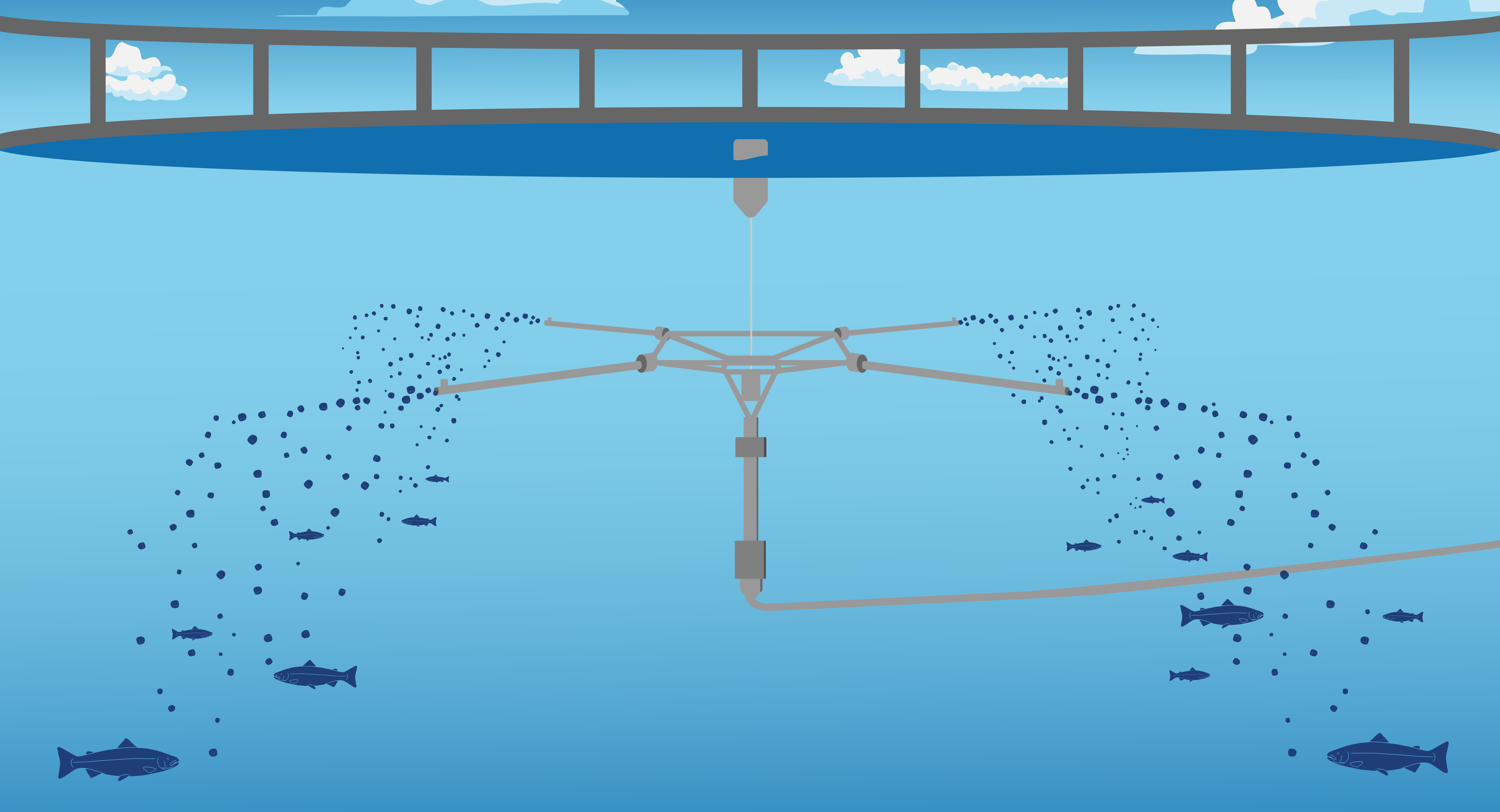 BioMar finds rise of waterborne feeding impacting salmon nutrition