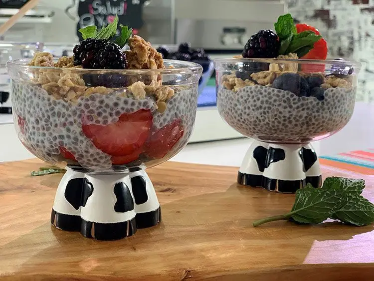 Chia Seed Pudding: A Nutritious Breakfast for Flexitarian, MIND, and Mediterranean Diets