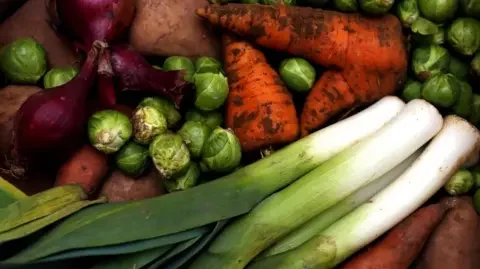 BBC Fresh vegetables piled on top of one another. Green leeks and sprouts, red onions and orange carrots