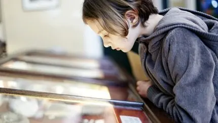 Kid looking in museum display case