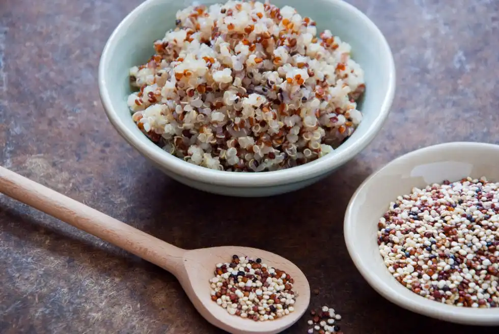 health benefits of quinoa bowl of cooked quinoa next to uncooked quinoa