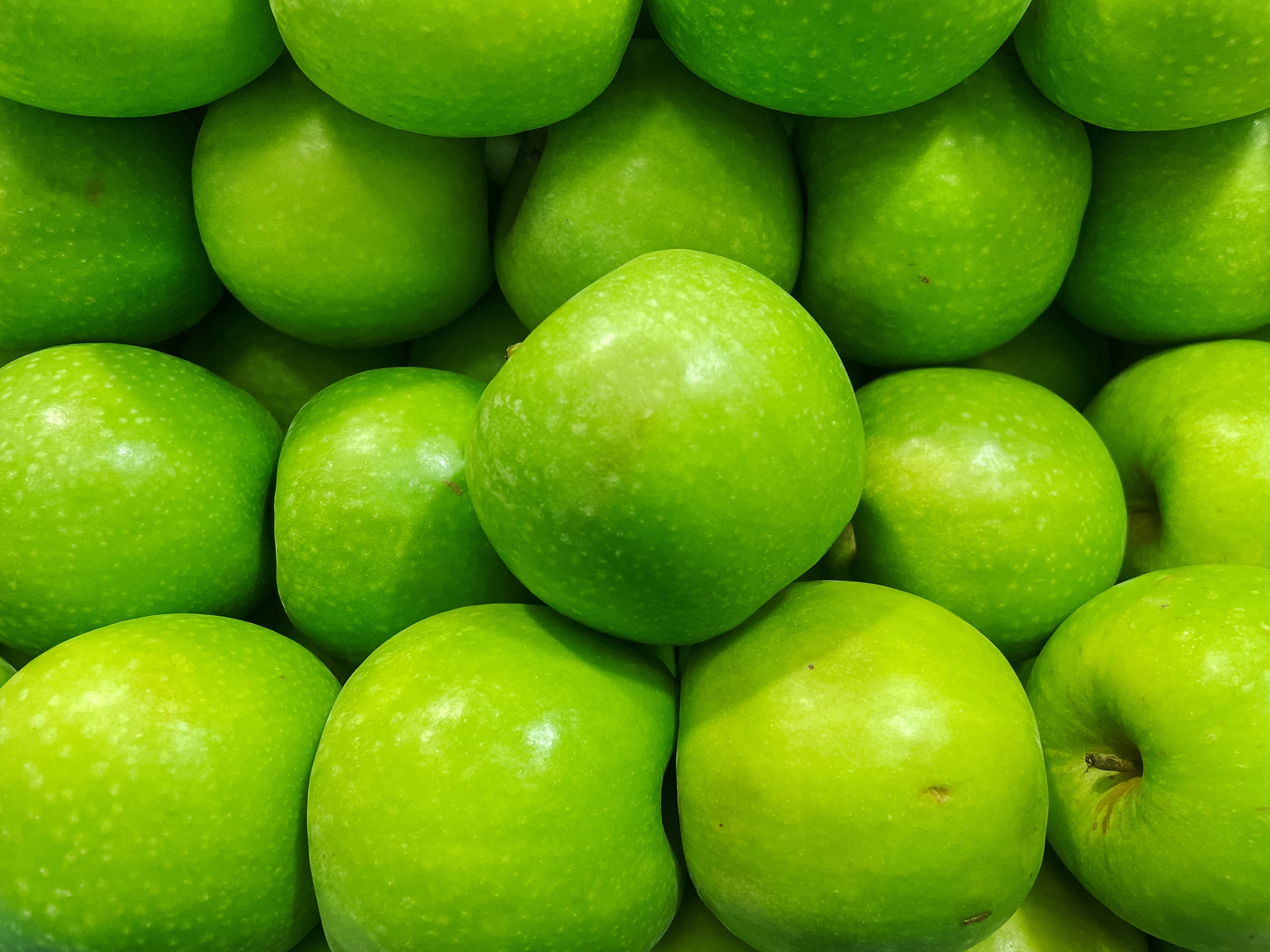 Close-up of many green apples.