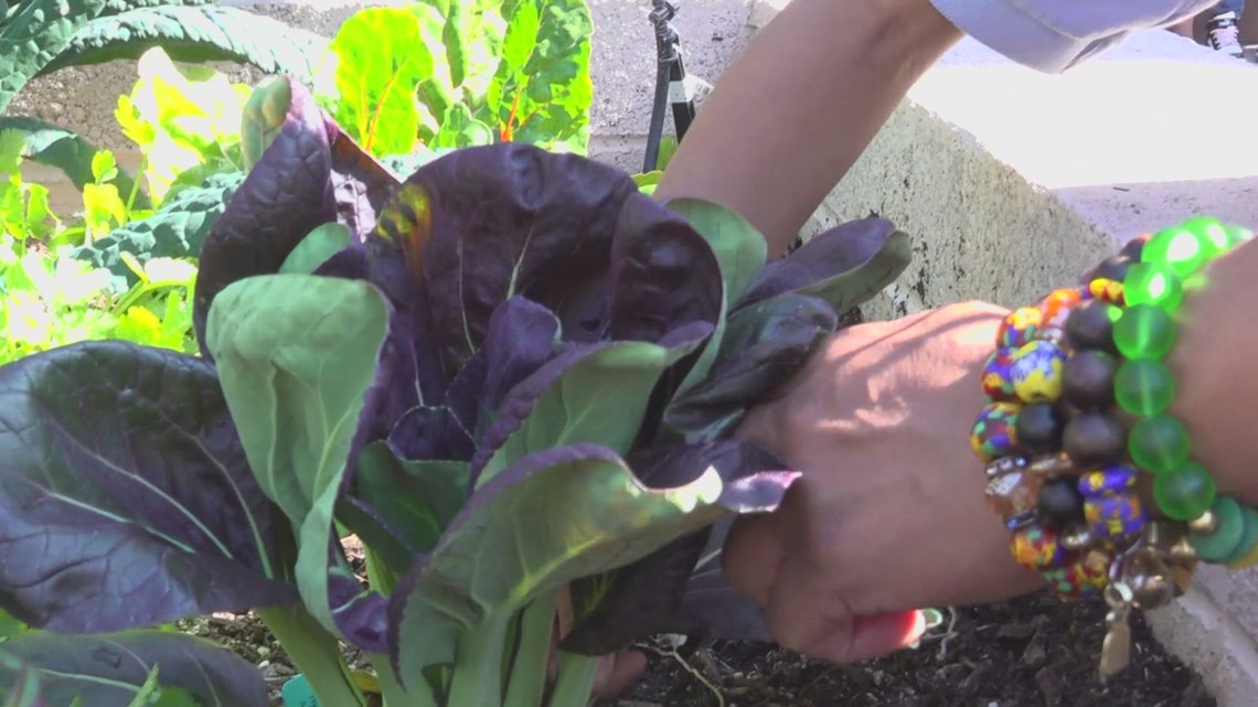 Students at Cheatham Elementary School grow, harvest, and cook their own meals