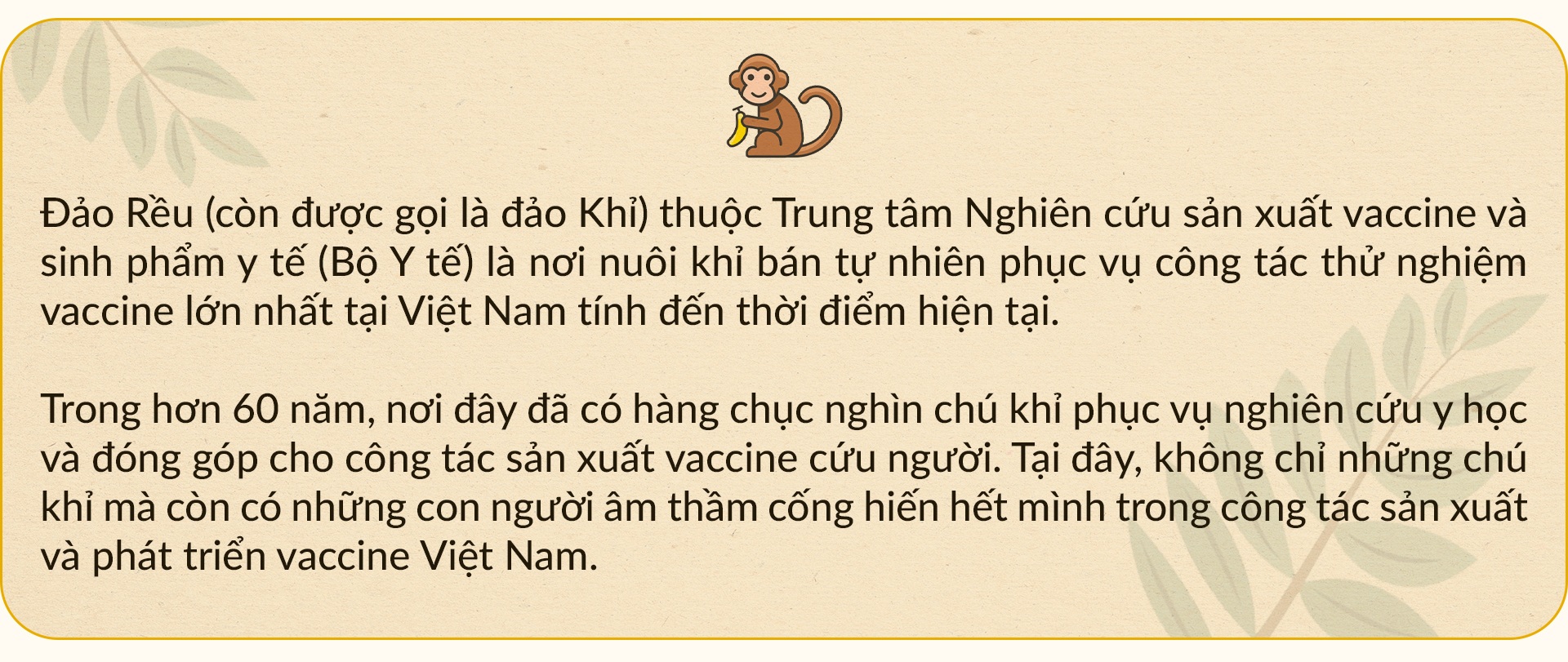 Những gia đình 3 thế hệ bám đảo nuôi đàn khỉ hiến thân cho y học