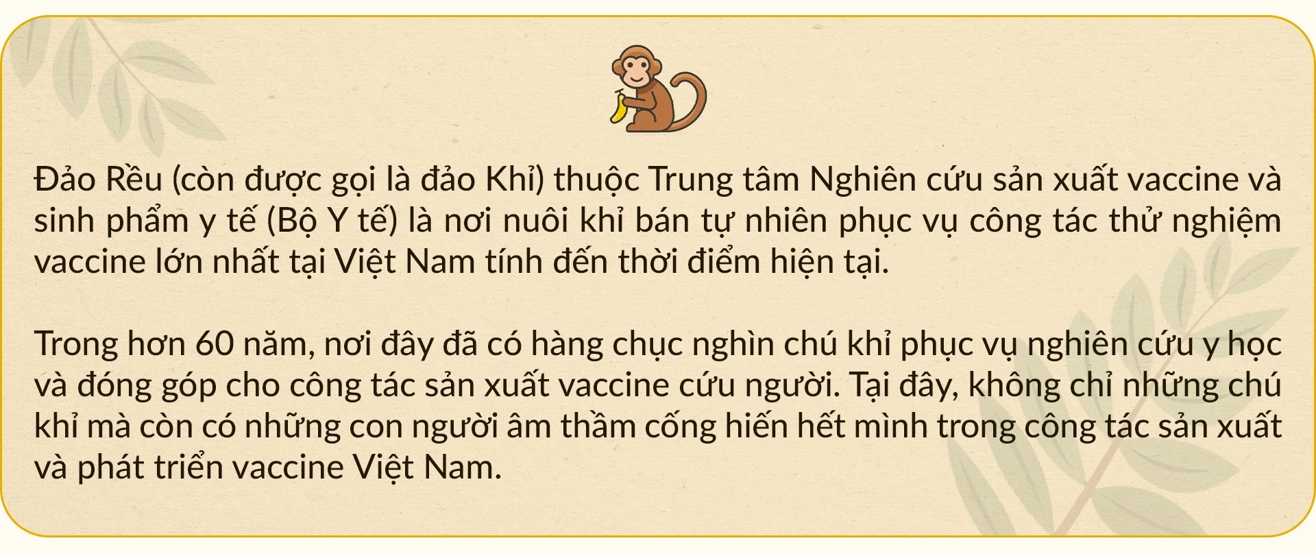 Những gia đình 3 thế hệ bám đảo nuôi đàn khỉ hiến thân cho y học - 1