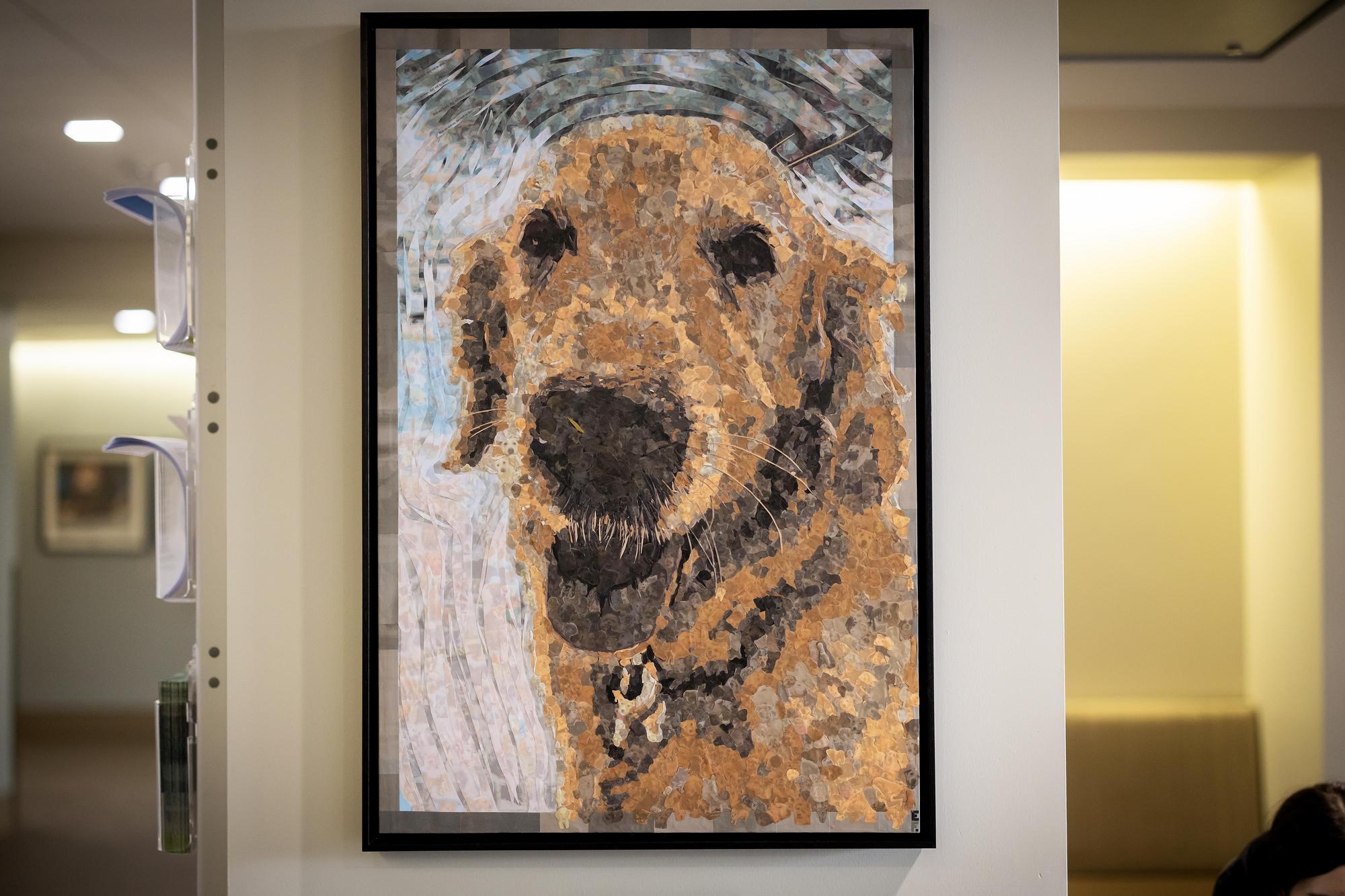 Art Matters: ‘Fantine’ collage in Ryan Veterinary Hospital