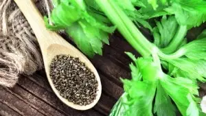 Not just stalks, even celery seeds have many health benefits