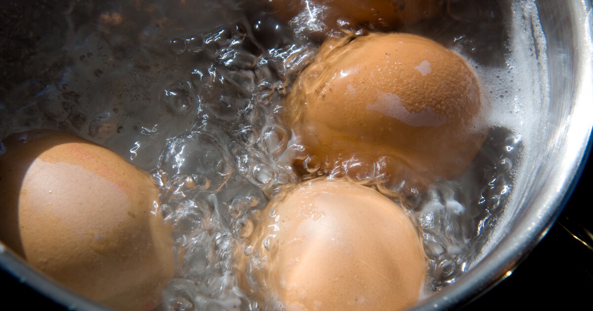 Science says: Pot-hopping improves boiled eggs’ texture and nutrition