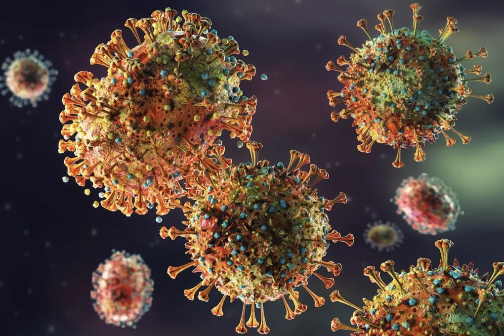 Mỹ xuất hiện virus Camp Hill: Đáng quan tâm, nhưng có đáng ngại ở Việt Nam? - 2 Mỹ xuất hiện virus Camp Hill: Đáng quan tâm, nhưng có đáng ngại ở Việt Nam? - 2