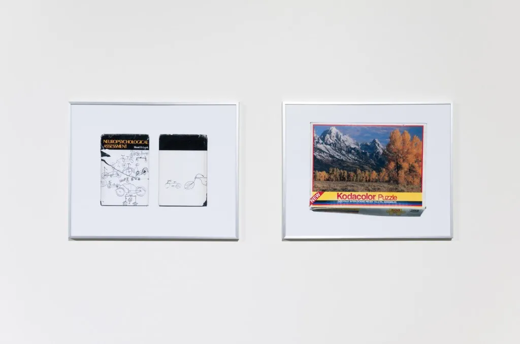 two framed images against a white wall, silver frames with white matting