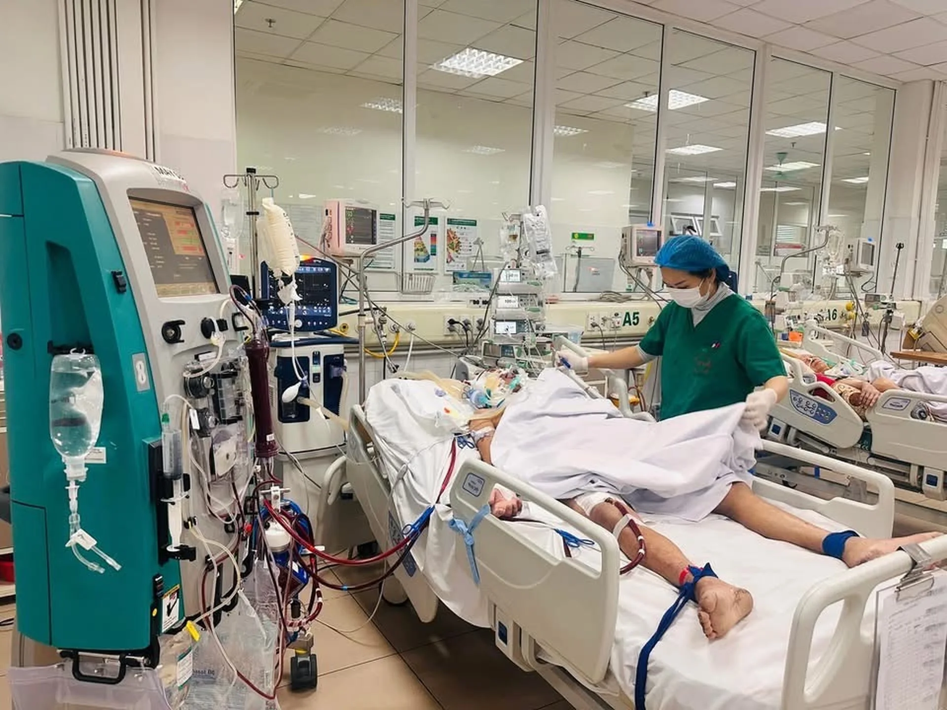 Phải đặt ECMO sau vài ngày sụt sịt, bệnh cúm mùa có nguy hiểm? - 2 Phải đặt ECMO sau vài ngày sụt sịt, bệnh cúm mùa có nguy hiểm? - 2
