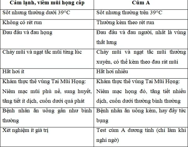 Phải đặt ECMO sau vài ngày sụt sịt, bệnh cúm mùa có nguy hiểm? - 8