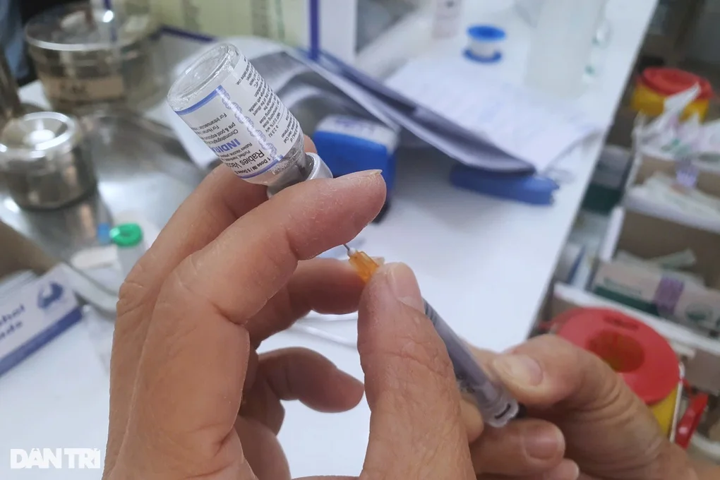 Chó nhà chết sau khi cắn bé trai 1 tuổi, cha mẹ hốt hoảng đưa con đi viện - 3 Chó nhà chết sau khi cắn bé trai 1 tuổi, cha mẹ hốt hoảng đưa con đi viện - 3