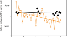 Nutrition regulates reproductive senescence and terminal investment across the reproductive cycle of a long-lived mammal