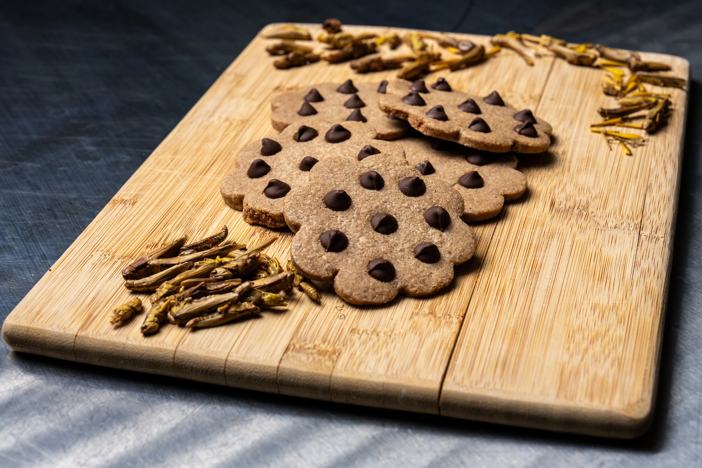 A wooden cutting board displaying a neat arrangement of chocolate chip cookies shaped like flowers, with dried insects arranged decoratively around the cookies.